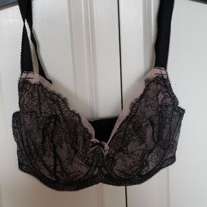 Beautiful Paramour Bra